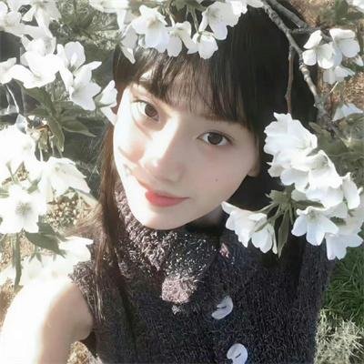 花木兰的秘密